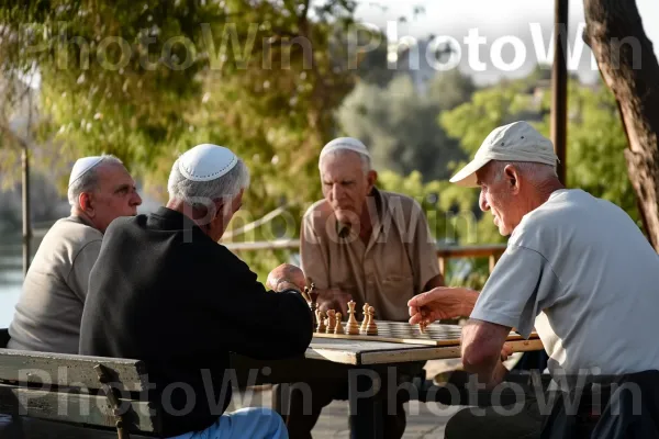 גברים מבוגרים עסקו במשחק שחמט נמרץ בפארק, ממדינת ישראל. עץ, ז\'קֵט, שיתוף