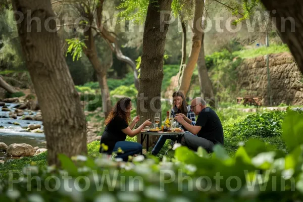 משפחות בפיקניק ביערות גליל עבותים, מתחברים לטבע ממדינת ישראל. צמח, נוף טבעי, פְּנַאִי