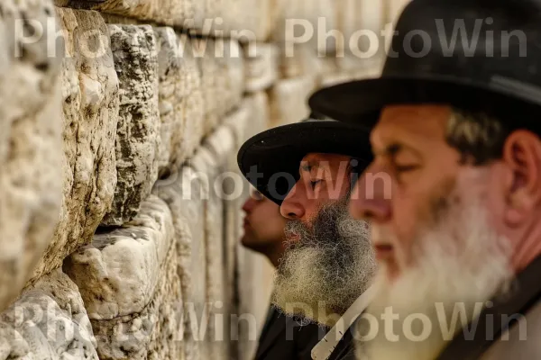 גברים אורתודוקסים מסורתיים שקועים בתפילה עמוקה בכותל ממדינת ישראל. זָקָן, פדורה, כיסוי ראש