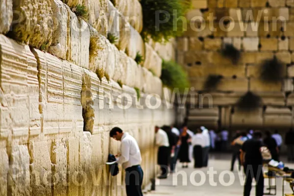 יחידים אדוקים מתפללים בשלווה בכותל, אתר יהודי קדוש, ממדינת ישראל. תְאוּרָה, קַו, עץ