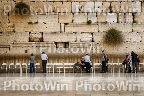 מתפללים אדוקים מתפללים בכותל ממדינת ישראל. כִּסֵא, רַצָפוּת, עץ