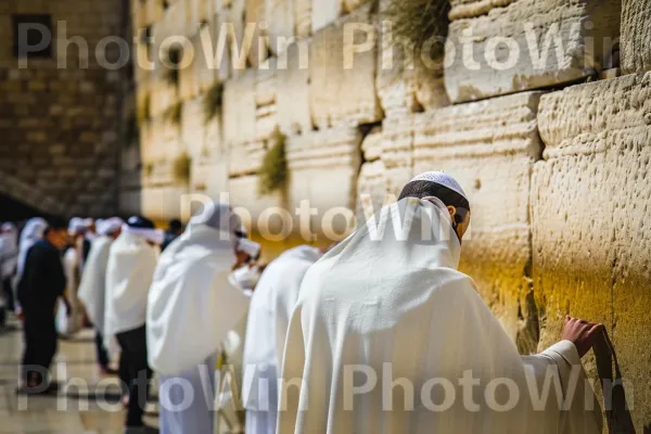 מתפללים אדוקים מתפללים בכותל, קשר עמוק לאמונה ומורשת, ממדינת ישראל. צהוב, קִיר, עִיר