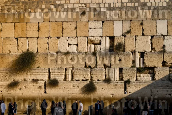 משפחות מתכנסות בכותל, עמוק בתפילה ובהרהור, ממדינת ישראל. ארכיטקטורה, עץ, חומר בניין