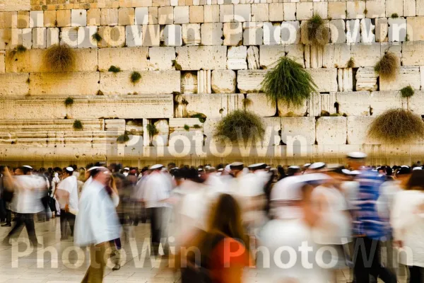 גברים ונשים מתנדנדים בתפילה בכותל, חובקים מסורות יהודיות, ממדינת ישראל. עוֹלָם, גוֹפָן, קִיר