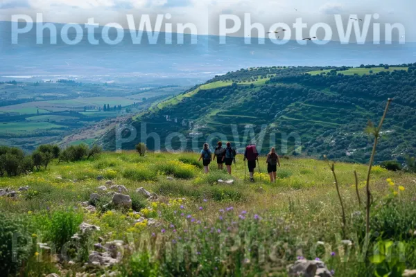 קבוצת חברים מטיילת בנופי הגליל עוצרי הנשימה, ממדינת ישראל. שָׁמַיִם, קהילת צמחים, אנשים בטבע