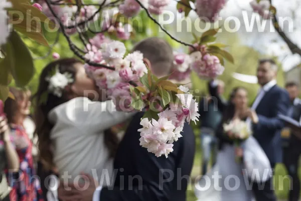 נשואים טריים מחליפים נדרים מכל הלב תחת פריחת דובדבן פורחת. פֶּרַח, וָרוֹד, עֵץ